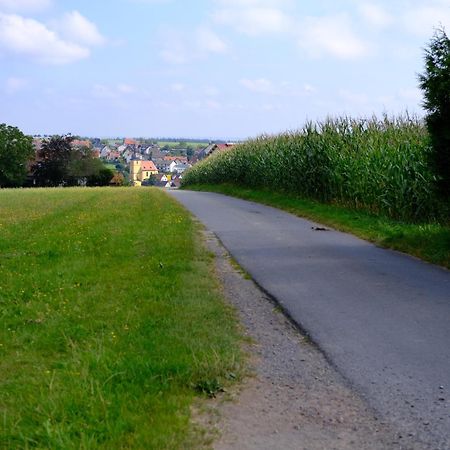 Ferienwohnung Friedrich Michelstadt Eksteriør billede