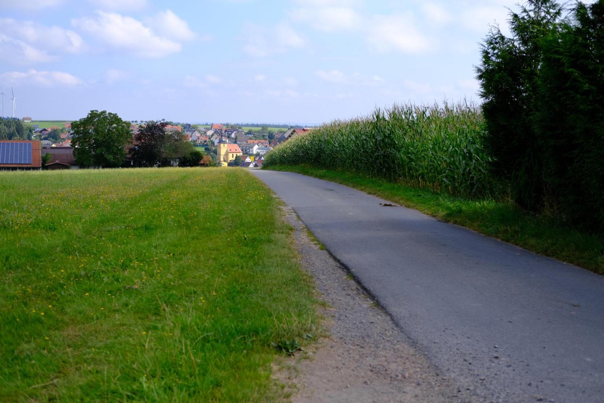 Ferienwohnung Friedrich Michelstadt Eksteriør billede